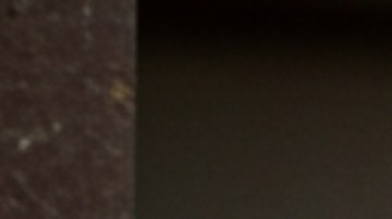 Pese a la emergencia, el caballo resistió tranquilo y con valentía, lo que facilitó el operativo de rescate.