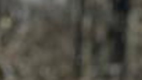 Hispano murió arrollado al intentar huir de un operativo migratorio en Home Depot: “No era un delincuente”