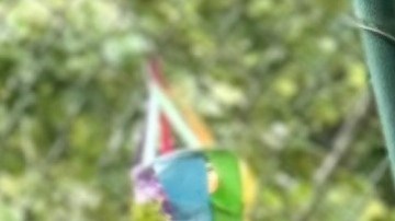 El jardín del Centro Infantil Kennedy ofrece una alternativa relajante a un juego más enérgico.