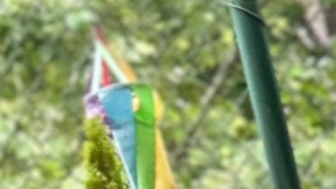El jardín del Centro Infantil Kennedy ofrece una alternativa relajante a un juego más enérgico.