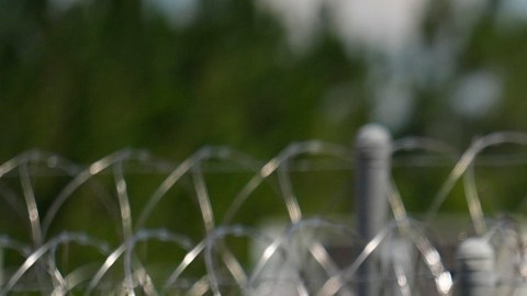 Número de arrestos de migrantes realizados por ICE cayó 19% en julio