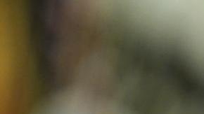 Trump anuncia que en dos semanas se sabrá si Putin y Zelenski se reúnen para negociar la paz