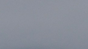 Con alfombra roja: así recibió Donald Trump a Vladimir Putin para cumbre bilateral en Alaska