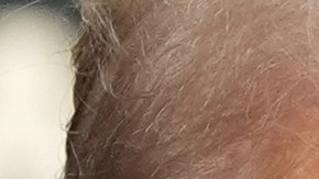 Donald Trump dice que la ocupación de Gaza dependerá en gran medida de Israel