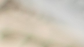 duenos-de-casas-reembolso-400-dolares