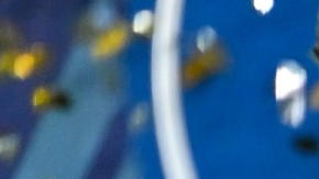 Marquinhos alzó una nueva copa con el PSG.