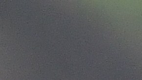 Según reportes, el turista usó el flash de su cámara para tomar fotos, lo que podría haber alterado al elefante.