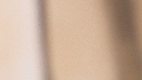 Thompson fue galardonada con el premio honorífico Leopard Club en el Festival de Cine de Locarno.