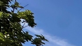 Tiroteo en Emory University en Atlanta genera alerta y obliga a estudiantes a refugiarse