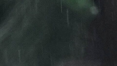 Fans de Atlético Nacional.