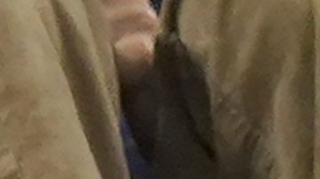 Imagen referencial fans en el US Open.