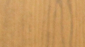 El juez Caprio tocó la vida de millones a través de su trabajo en la sala y más allá.