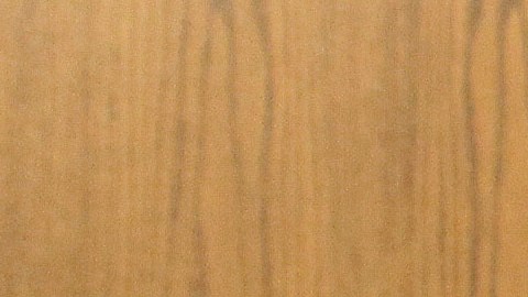 El juez Caprio tocó la vida de millones a través de su trabajo en la sala y más allá.