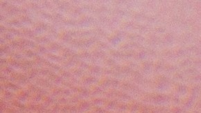 Los productos se distribuyeron entre el 1 y el 25 de julio de 2025 y se vendieron en las tiendas Sam's Club de 43 estados del país.