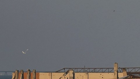 Hamás acusó a Netanyahu de bloquear alto el fuego con nuevas condiciones