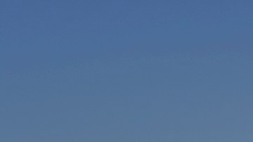 Israel afirma que las muertes en Gaza se deben a enfermedades y no a la hambruna