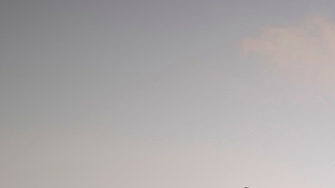 Periodista murió en un bombardeo en Gaza: "Si lees esto, Israel tuvo éxito en matarme"