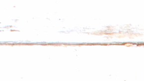 Las investigaciones científicas han demostrado que algunos alimentos tienen la capacidad de revertir daños celulares en el cerebro.