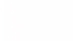 Los helados fueron distribuidos en varios estados del Estado Unidos.