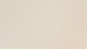 Aunque muchos pensaron que iba a soltar un grito o salir corriendo, Jennifer capturó al pequeño intruso y lo lanzó fuera del escenario.