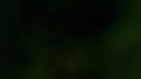 FBI allana oficina y vivienda de John Bolton en investigación sobre documentos clasificados