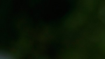 FBI allana oficina y vivienda de John Bolton en investigación sobre documentos clasificados