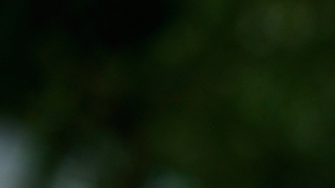 FBI allana oficina y vivienda de John Bolton en investigación sobre documentos clasificados