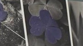 Kilmar Ábrego acusó al gobierno de Trump de presionarlo con deportarlo a Uganda