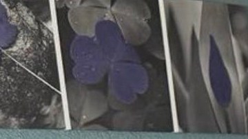 Kilmar Ábrego acusó al gobierno de Trump de presionarlo con deportarlo a Uganda