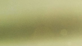 ladrones-de-titulos-casas