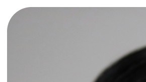 Senadora Elizabeth Warren y representante Raja Krishnamoorthi