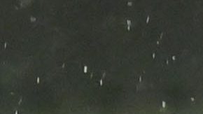 Hinchas del Maccabi Haifa durante un partido de Conference League 2024.