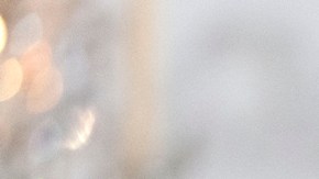 EE.UU. descarta que líderes europeos viajen a Washington para “proteger” a Zelenski