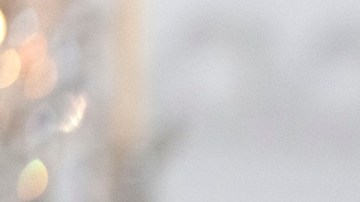 EE.UU. descarta que líderes europeos viajen a Washington para “proteger” a Zelenski