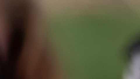 Madres venezolanas piden a Melania Trump interceder por 66 niños separados de sus padres deportados