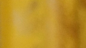 Primera dama turca exige a Melania Trump preocuparse por 18,000 niños "brutalmente asesinados" en Gaza