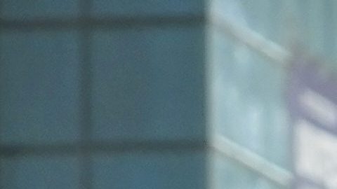 TMZ asegura que, tras pasar unas horas en la comisaría, Mingus logró salir en libertad.