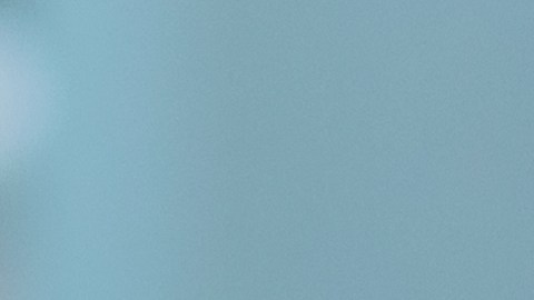 Al finalizar la ceremonia, el novio entregó a sus suegros su certificado de ASL (lenguaje de señas americano) como símbolo de respeto y conexión.