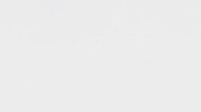 En Caridades Católicas, somos profundamente conscientes y sentimos dolor por el hecho de que demasiada retórica y demasiadas acciones traicionan nuestro orgulloso legado como refugio para refugiados y tierra de oportunidades, y pervierten nuestro orgulloso lema: e pluribus unum.