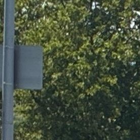 Grupos de danza folklórica,  carrozas,  y convoyes de autos decorados engalanaron la fiesta.