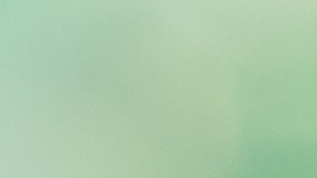 La pareja se alistaba no para mudarse, sino para conocer el inmueble, cuando se toparon con el polémico mensaje.