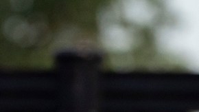 Trump refuerza la seguridad en Washington D.C. con tropas de Virginia Occidental