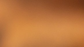 Los quesos fueron distribuidos en 10 estados del país.