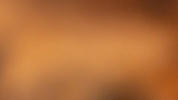 Los quesos fueron distribuidos en 10 estados del país.