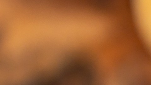 Los quesos fueron distribuidos en 10 estados del país.