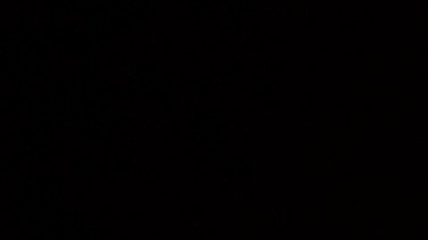 seguro-social-agosto-2025