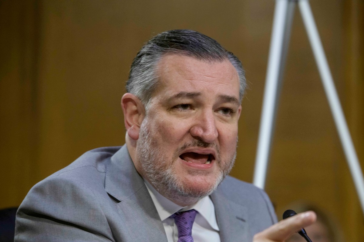 Senador republicano instó a México adoptar estrategia de El Salvador contra el narcotráfico y a aceptar despliegue de EE.UU.