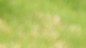 Jonathan ha perdido la visión y el sentido del olfato, pero conserva una audición excelente.