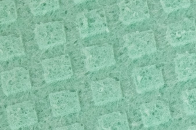 Los paños, esponjas y trapos de cocina son un foco de bacterias y microbios.