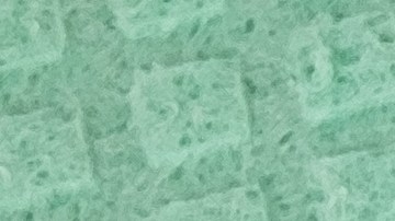 Los paños, esponjas y trapos de cocina son un foco de bacterias y microbios.